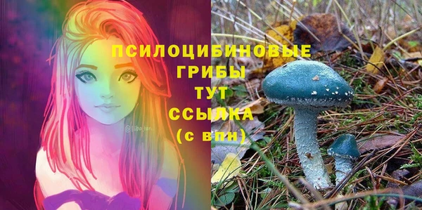 не бодяженный Лиски