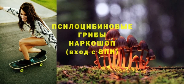 шишки Лихославль