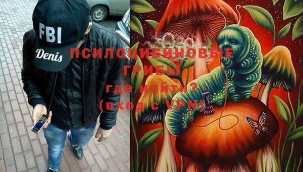 шишки Лихославль