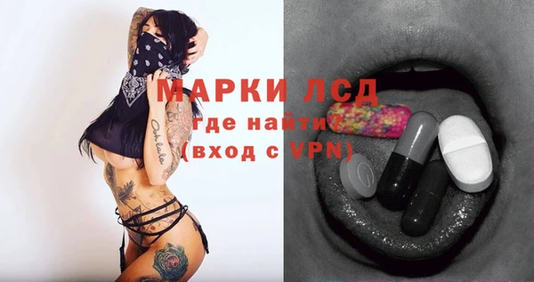 сатива Липки