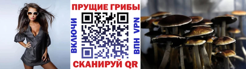 Купить закладки Кирс Галлюциногенные грибы MAGIC MUSHROOMS